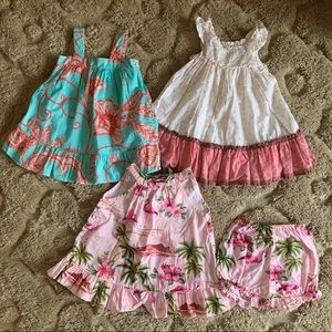 Baby Girl Dress Bundle